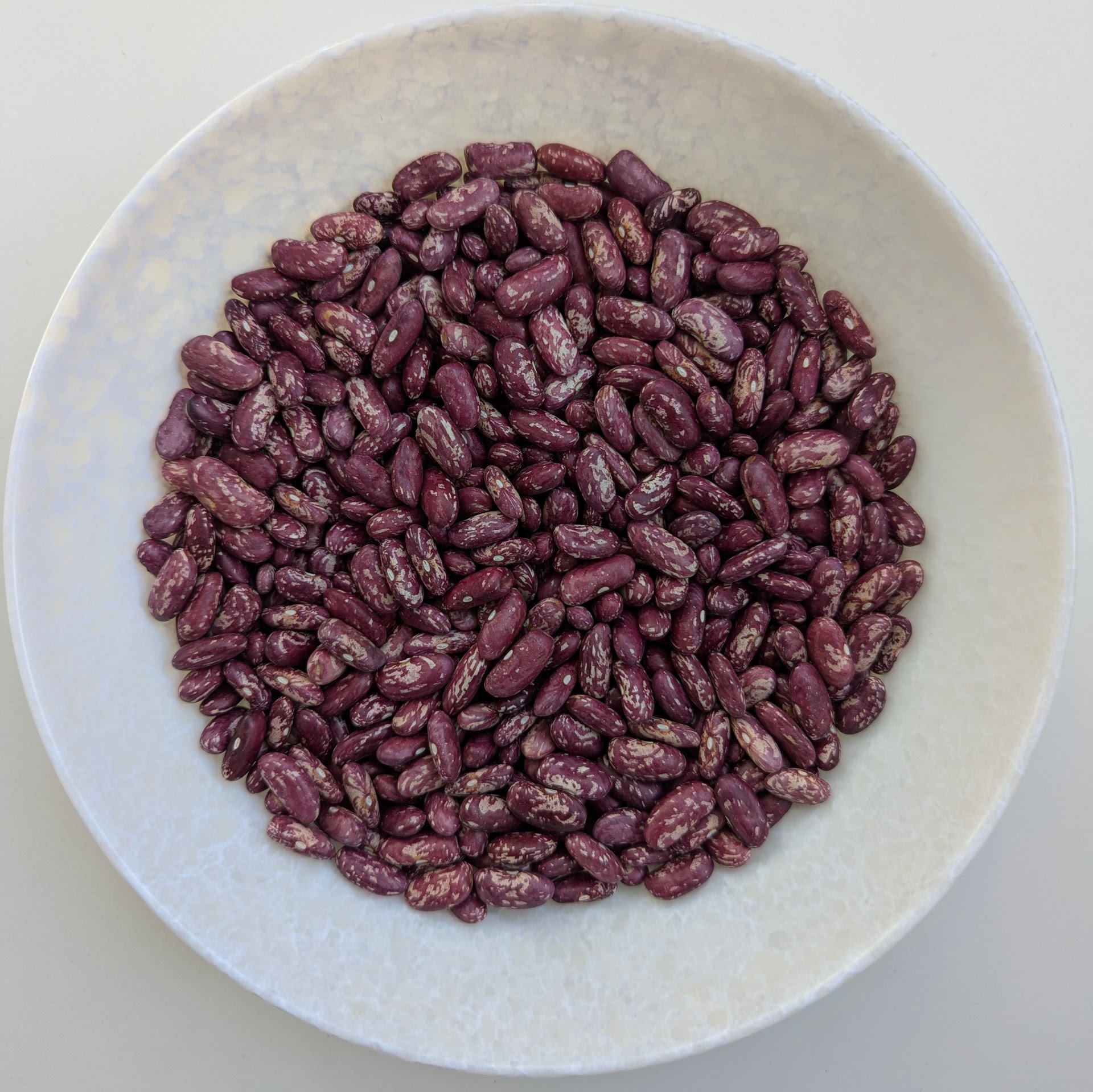 Red Speckled Kidney Bean (Key Burre)